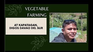 Vegetable Farming at Kapatagan, Digos Davao del Sur