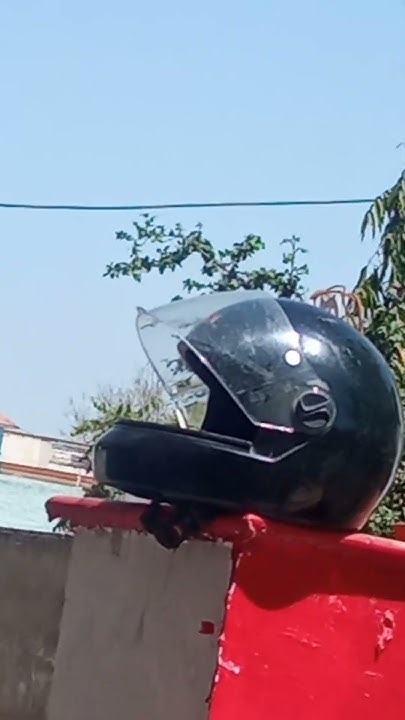 Sparrow Entering Inside The Helmet shorts YouTube sparrow-entering-inside-the-helmet-shorts-youtube