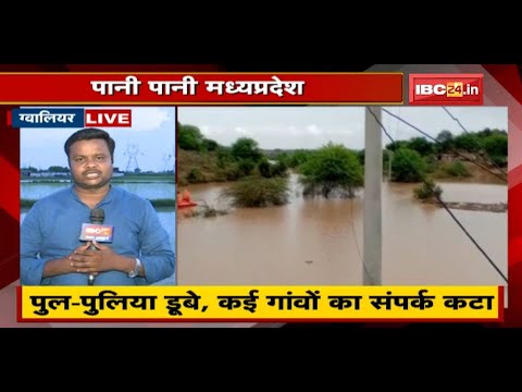 Madhya Pradesh Flood News : पानी पानी मध्यप्रदेश | पुल-पुलिया डूबे, कई गांवों का संपर्क कटा