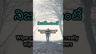 Manam anni pondam anukuntam…kani konni feelings matram manalni vadilesayi…#life #reality #emotional