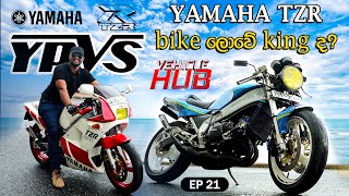 VEHICLE HUB | YAMAHA TZR bike ලොවේ king ද? | EP 21