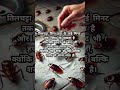 तिलचट्टा बिना हवा पानी के जिंदा रहता हैं।