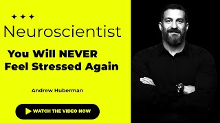 Neuroscientist  You Will NEVER Feel Stressed Again   Andrew Huberman #stressrelief #stress #viral