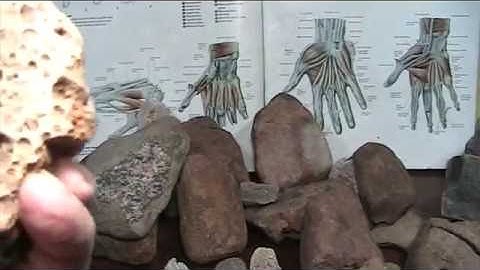 Mudfossils Part 3.. A New Universe