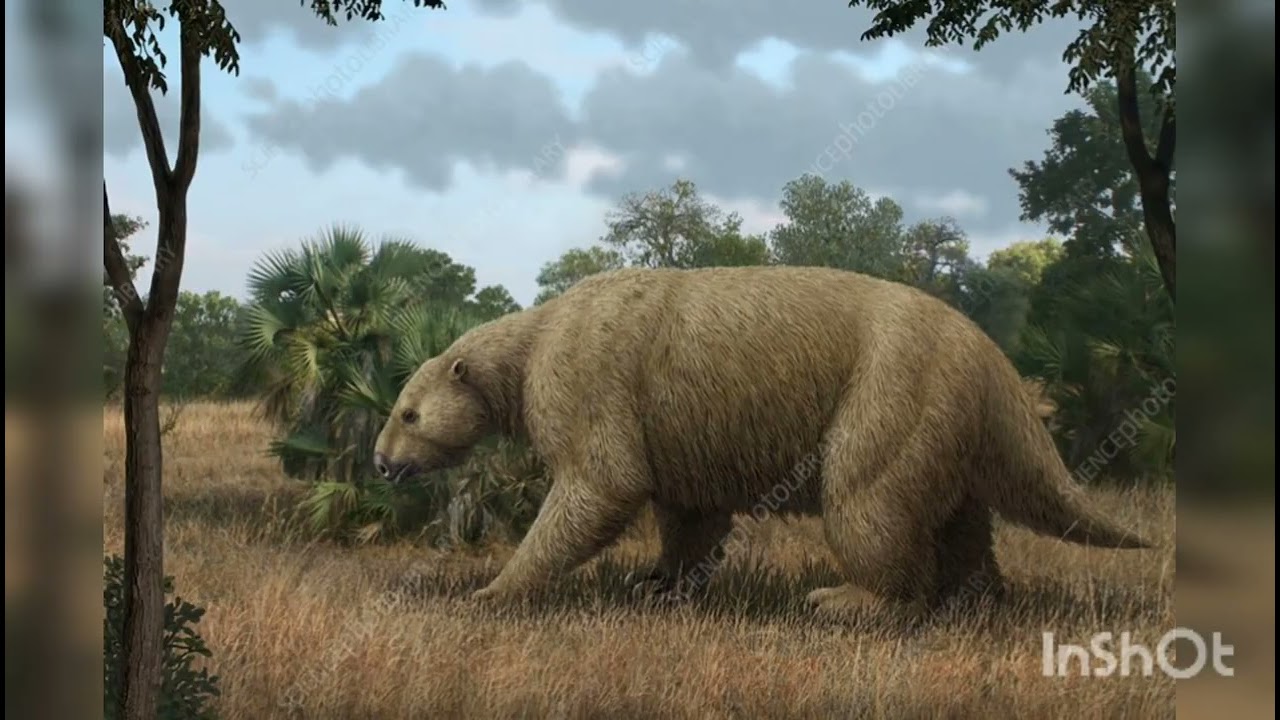 paleoart: zetakappassauro, ttorroo e Maurício anton