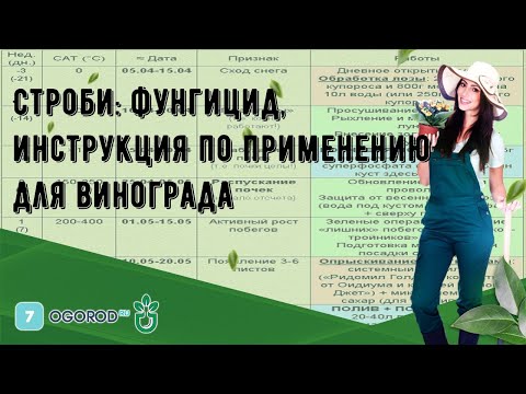 Video: Фунгицид 