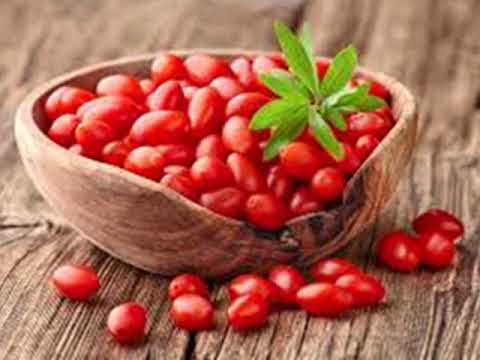 Wajib Diketahui !! 10 KHASIAT GOJI BERRY UNTUK KESEHATAN