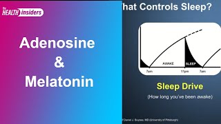 Sleeping: Adenosine and Melatonin