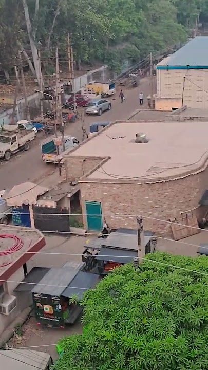 mohbbat kimat #tereliyehumhaijiye #song #hindisong