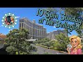 Gambling $100 in 5 Different Slot Machines at the Bellagio!