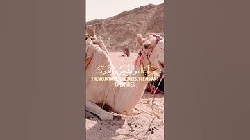 القرآن الكريم  مترجم إنجليزية The Quran translated into English