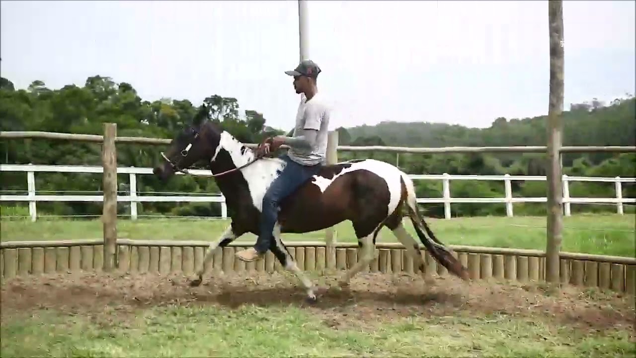 A nova musa da Sogipa