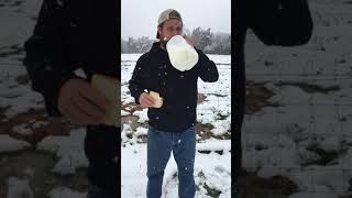 Got the bread and milk. Now what?