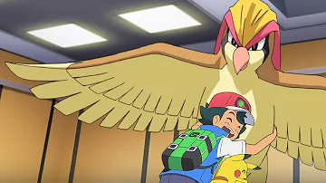 Qual é a fraqueza do pidgeot?