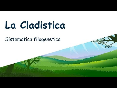 Video: Cos'è un cladogramma filogenetico ad albero?