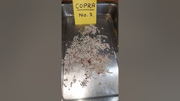 Dry Coconut Scraper, Flakes Cutting Machine #reels #business #entrepreneur #india #trend