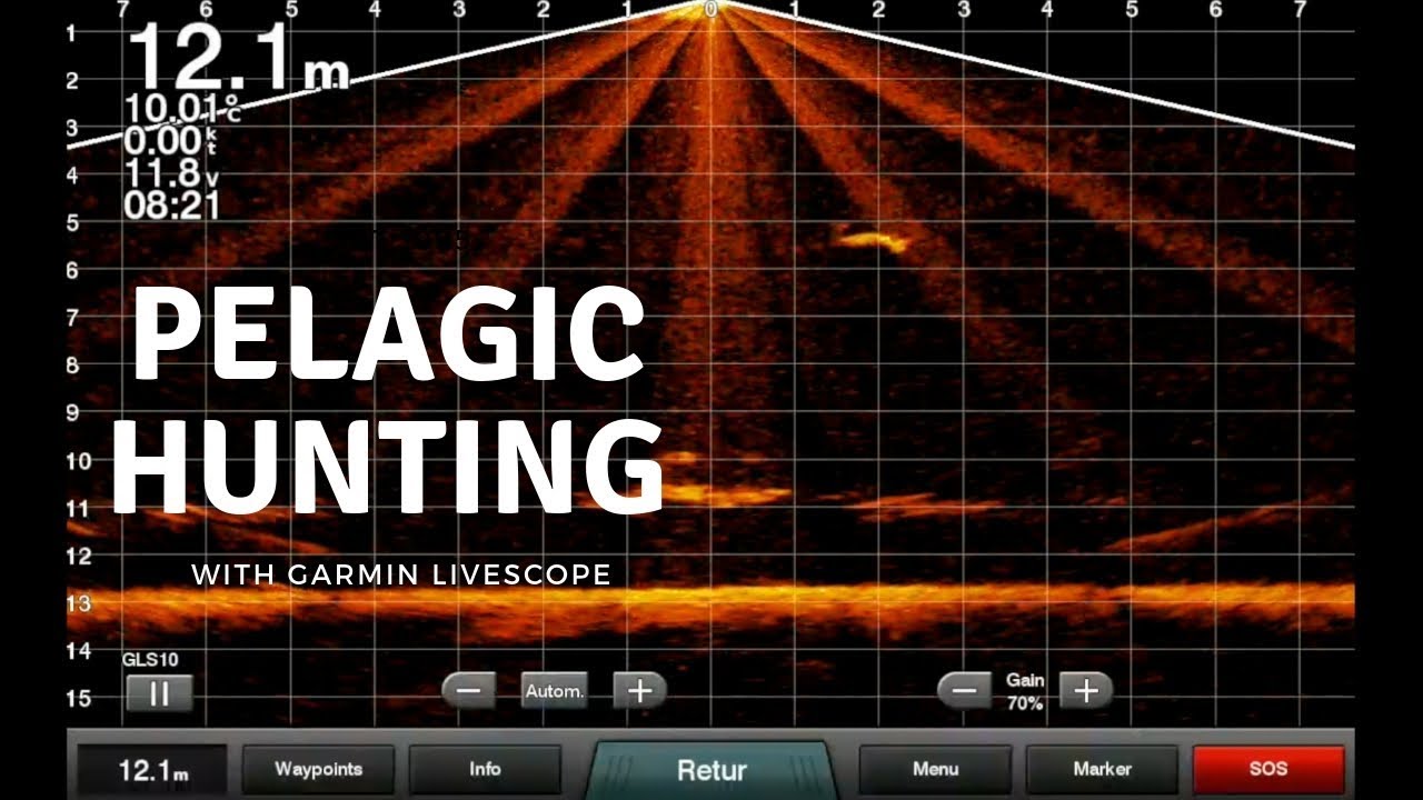 LiveScope By Garmin Hunt For Pikes Part 1 YouTube livescope-by-garmin-hunt-for-pikes-part-1-youtube