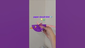 #steam #science #stem #PAPERCIRCUIT #circuit #elementary #bird #ledlight #led