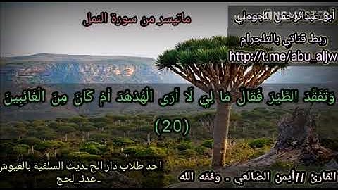 ماتيسر من سورة النمل ـ للقارئ ايمن الضالعي وفقه الله