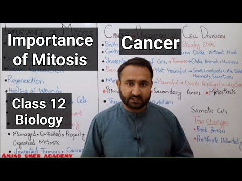 Importance of Mitosis | Cancer Uncontrolled Cell Division | FSC Biology