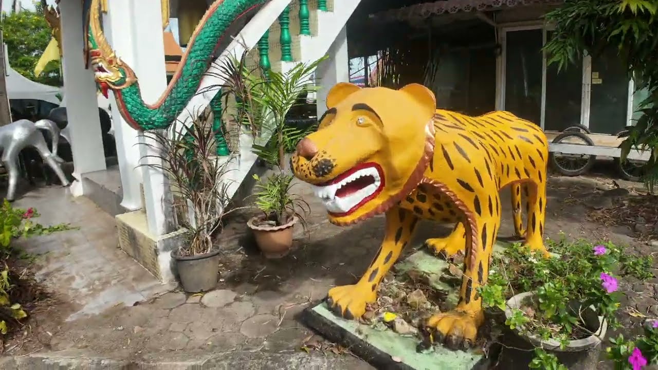Wat Sri Sunthon  The Big Reclining Budda