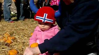Solveig in the Pumpkin Patch 2 (at Maryland Zoo)