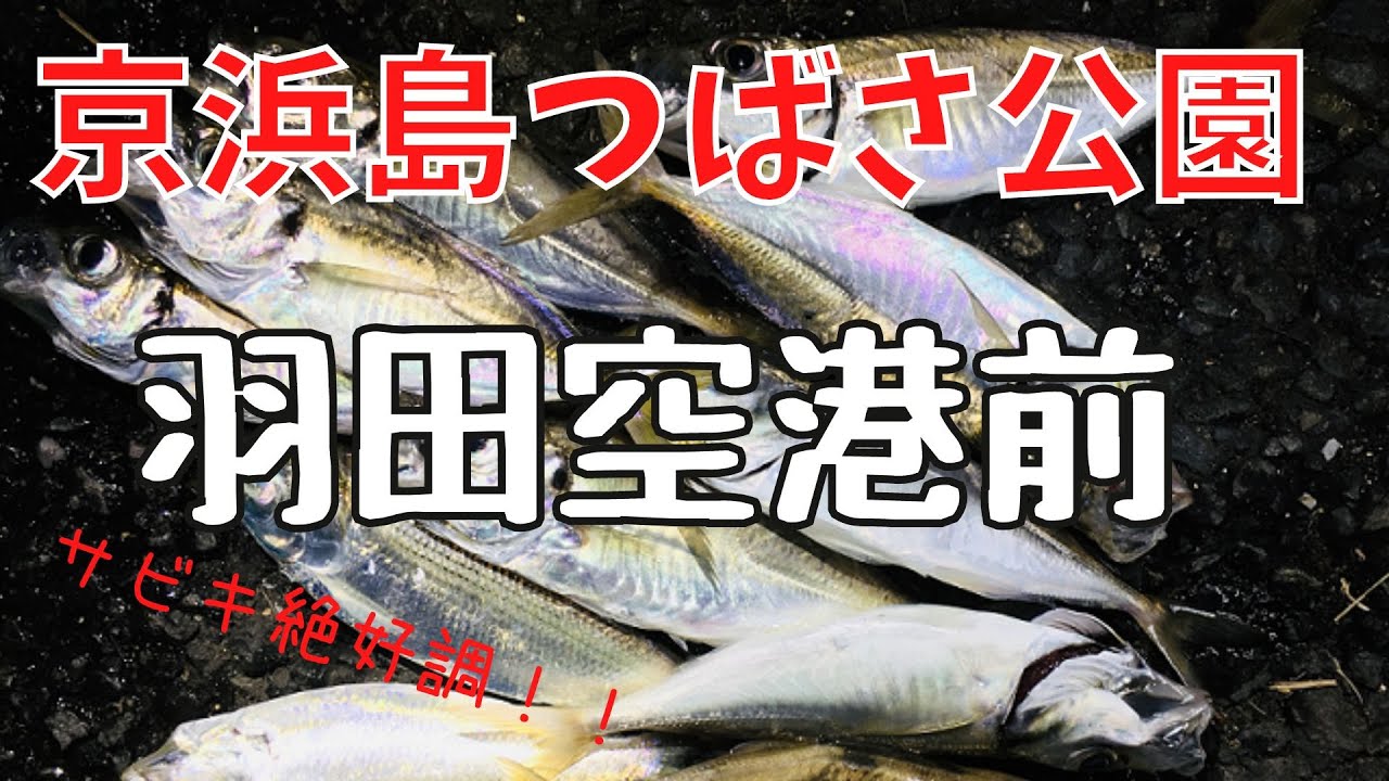 年 京浜島つばさ公園でサビキ釣り 釣果あり ツリラボ 年 京浜島つばさ公園でサビキ釣り 釣果あり ツリラボ