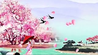 《三月桃花雨- Peach Blossom Rain in March》Solo Ling Ling 祝3·8女神节快乐！