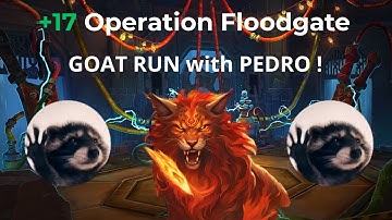 Operation Floodgate +17, Druid Feral POV | KEY time because PEDRO BUFF !!