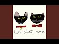 Un chat noir