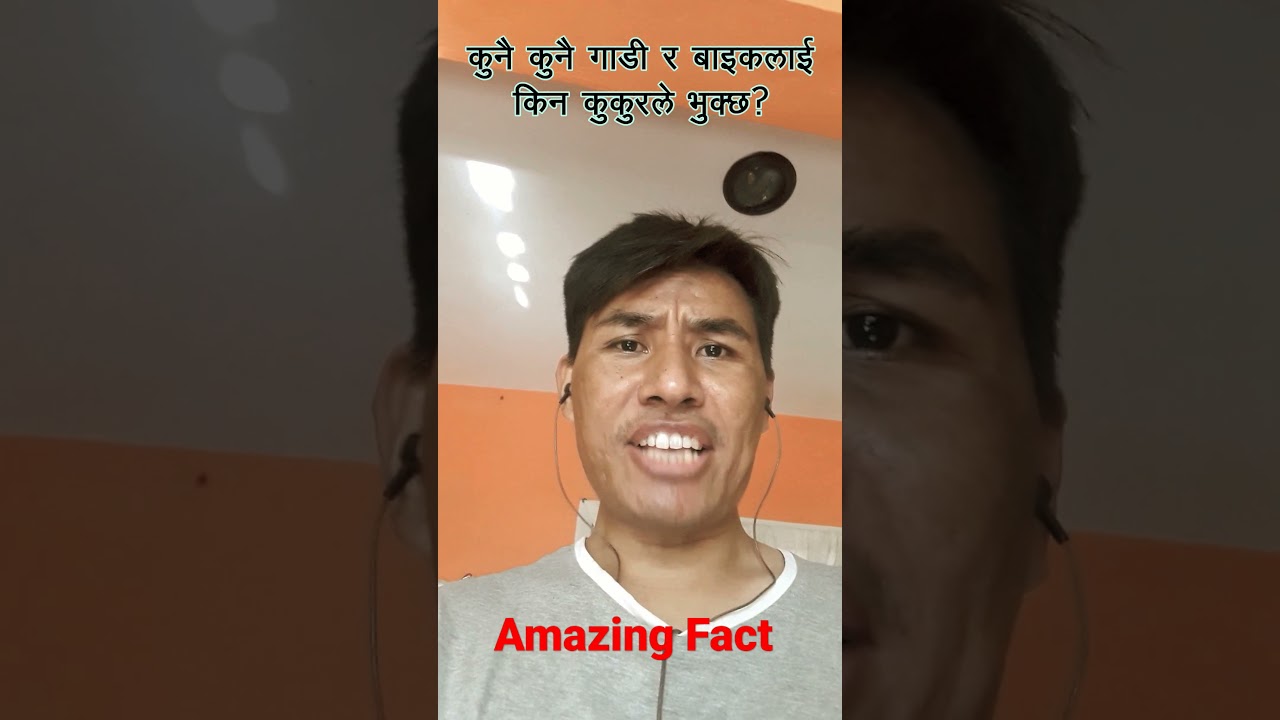 Barking Dog for some Vhehicle??? Naulo Suruwat