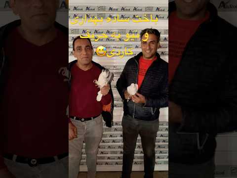 غریب گیری حریف از من باخت دوفروندتوپولوف به حریف فیلم کامل قسمت۱۷۰ شورت کبوتر بلندپرواز Pigeon