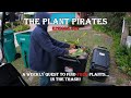 Finding free plants in the trash the plant pirates episode 82