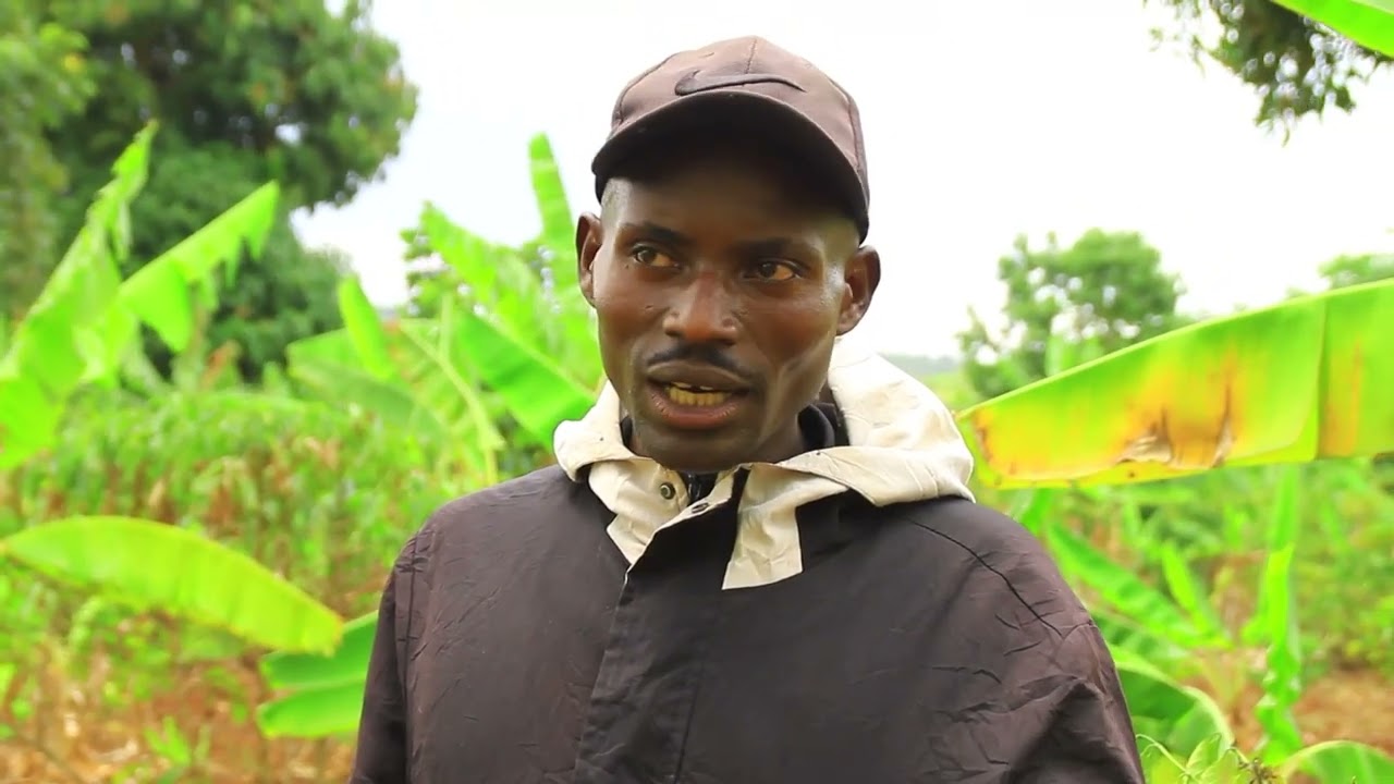SUSTAINABLE AGRICULTURE  DOCUMENTARY IN KARAGWE DISTRICT KAGERA REGION -TANZANIA 2024 .
