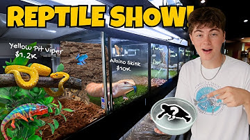 BUYING Reptile’s at World’s Largest Reptile EXPO!!
