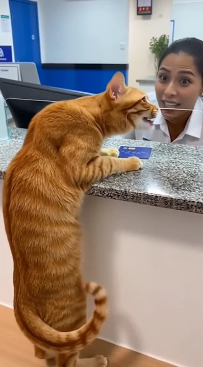 Beginilah kalau si Oren lagi nyetor duit ke bank. Membuat petugas jadi kebingungan dibuat nya.