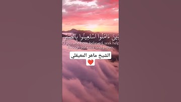 تلاوة جميلة للشيخ ماهر المعيقلي من سورة البقرة ❤️ اكتب شيء تؤجر عليه 🤍