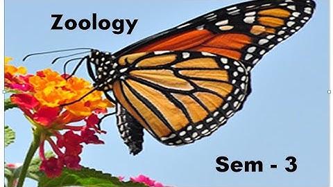 Kerala university BSc Botany previous questions - ZOOLOGY  -  ( sem - 3 )