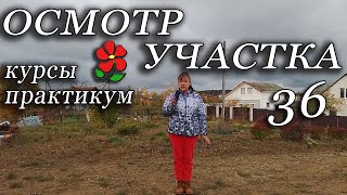 Курсы. Урок 36 (практикум). Осмотр приобретённого участка с позиции ландшафтного дизайнера.