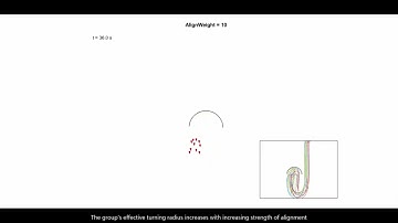 "Flocking escapes": swarms can escape from dead ends without trying