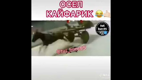 Пушка осёл