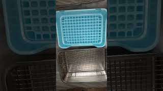 BumBox vs Stainless Steel Rabbit Litter Box: My Review