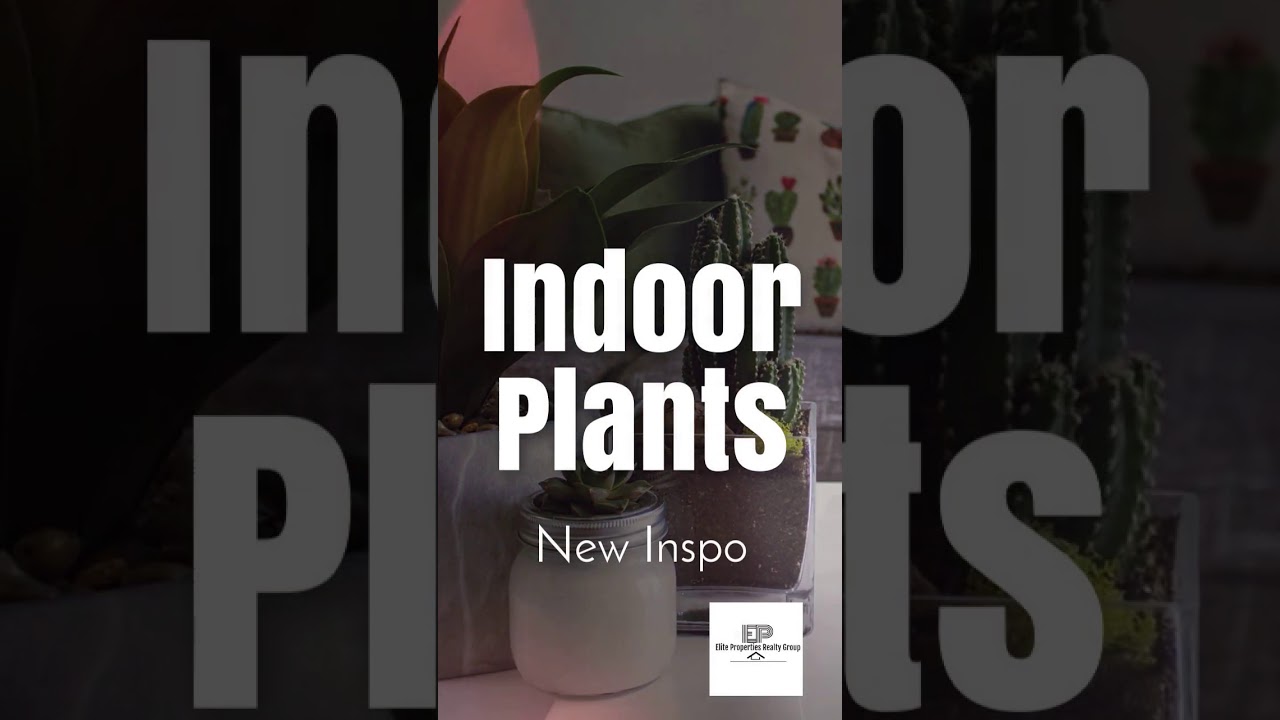 Indoor Plants