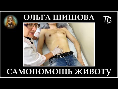 Ольга Шишова Самопомощь своему животу