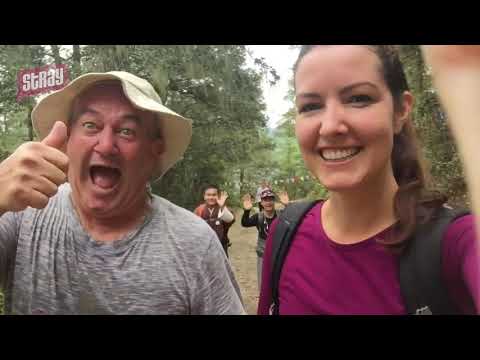 Video: Trekking In Den Heiligen Bergen Von Bhutan - Matador Network