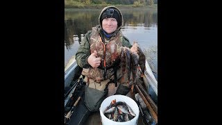 ОКУНЁВЫЙ КЛОНДАЙК  ГОРБАЧИ ПОД ЗАНАВЕС  РЫБАЛКА С МАЗАЕМ  27.09.2019. ЗАВЕРШЕНИЕ