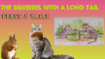 the squirrel with a long tail class 4 question answer 👨‍👩‍👧‍👧