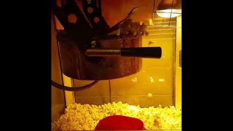 Concession Stand Popcorn