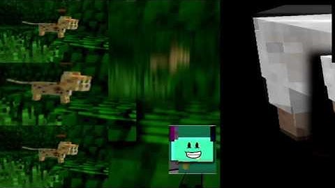 2 Shuric Scans Are Slides