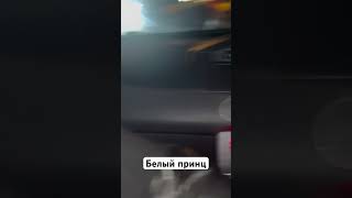 Посмотрите какие милые глазки у кота #freestyle #rap